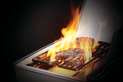 Napoleon Rogue SE 425 Gas Grill - Image 3
